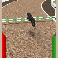 Play game Dog Racing Simulator now!