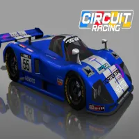 Play game Circuit Racing now!