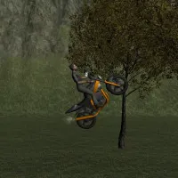 Play game Mountain Bike Rider now!